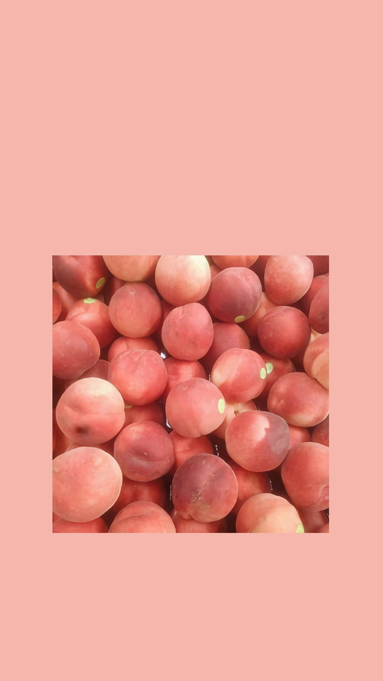 壁纸心清新壁纸预览