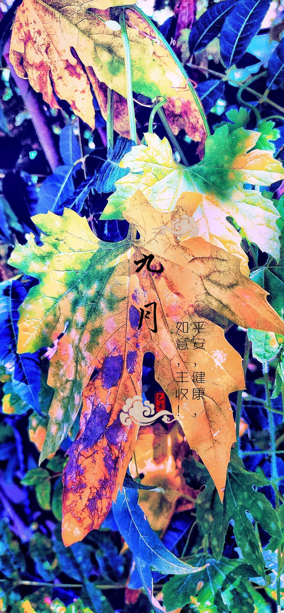 壁纸小清新简约薄荷绿壁纸预览