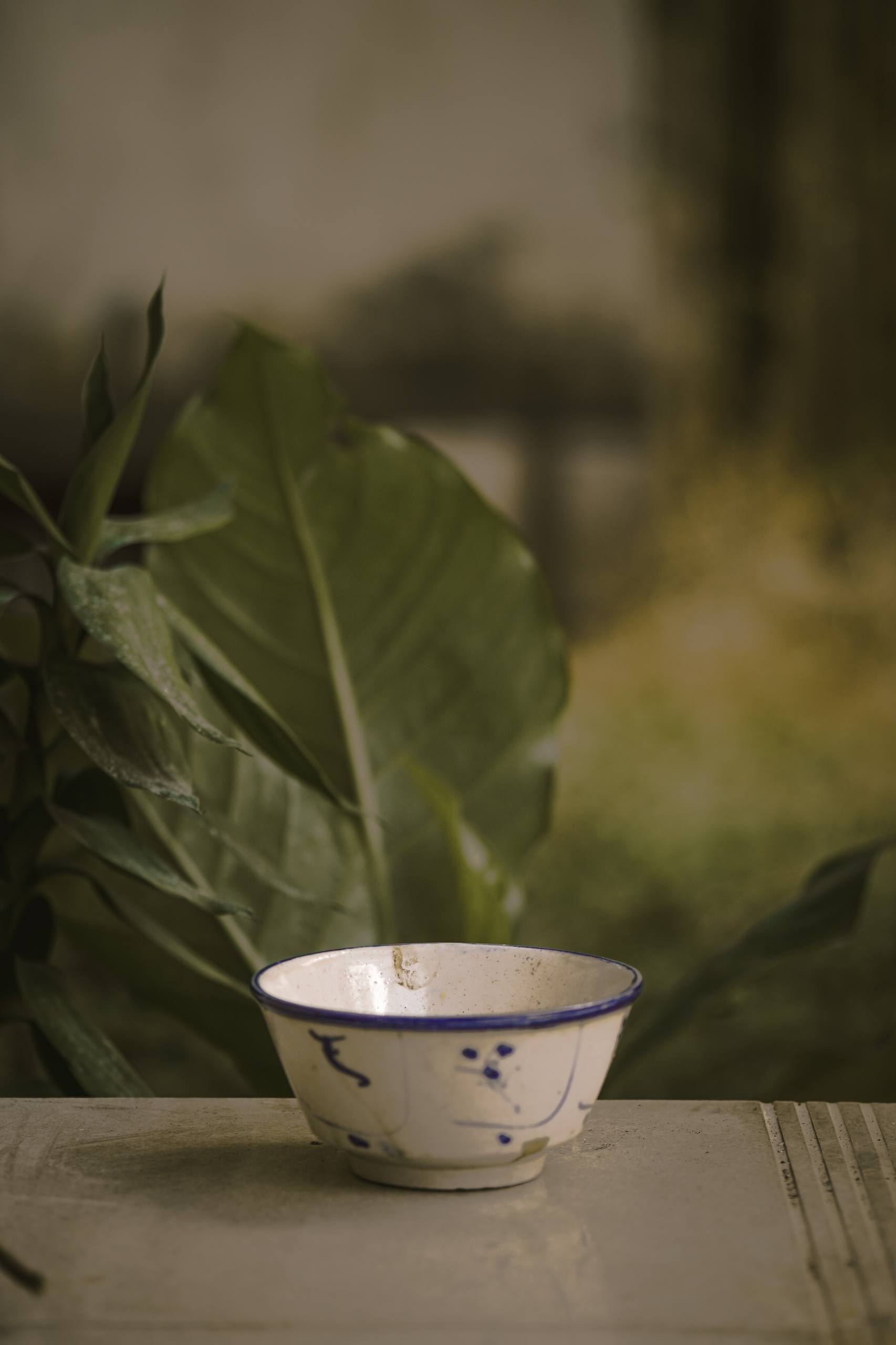 手机壁纸氛围感清新壁纸预览