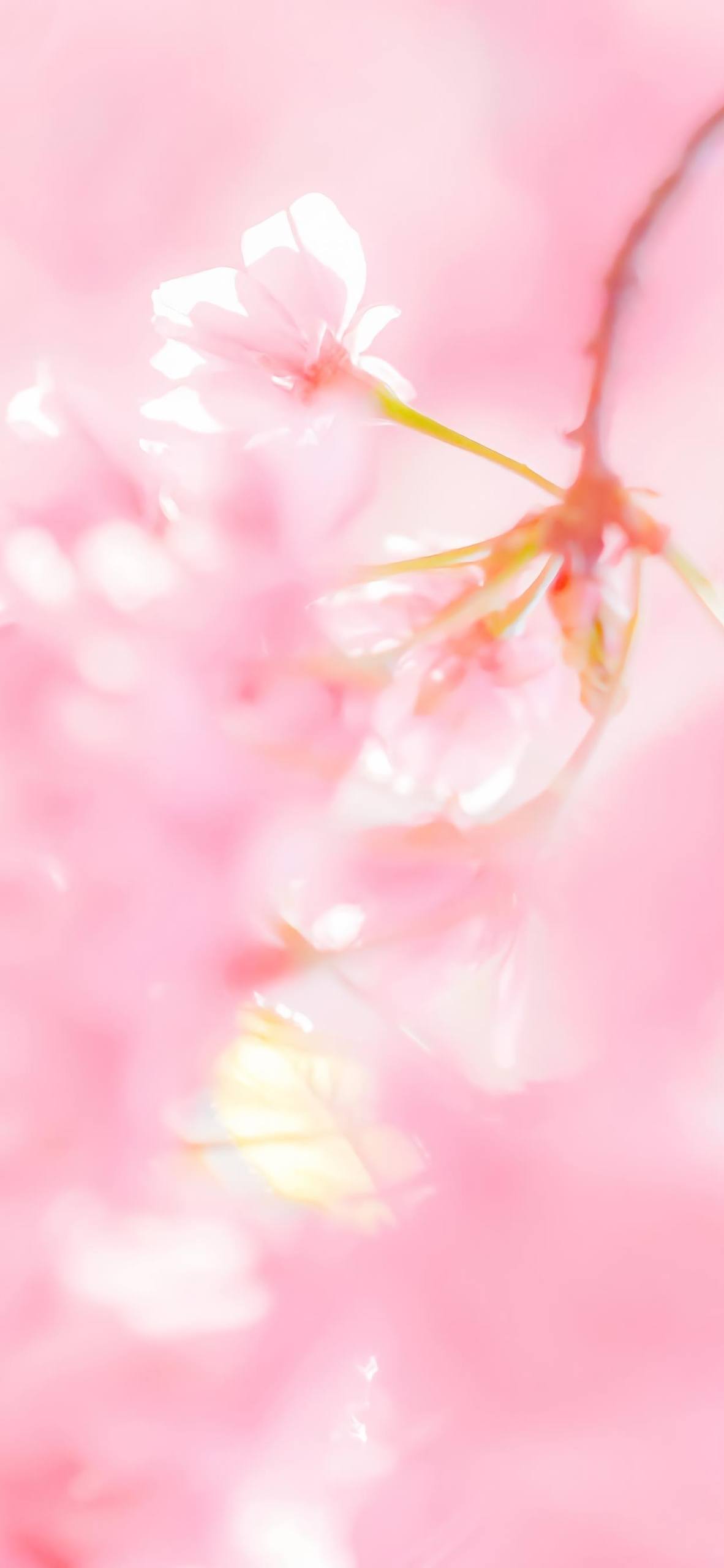 手机壁纸清新风景壁纸预览