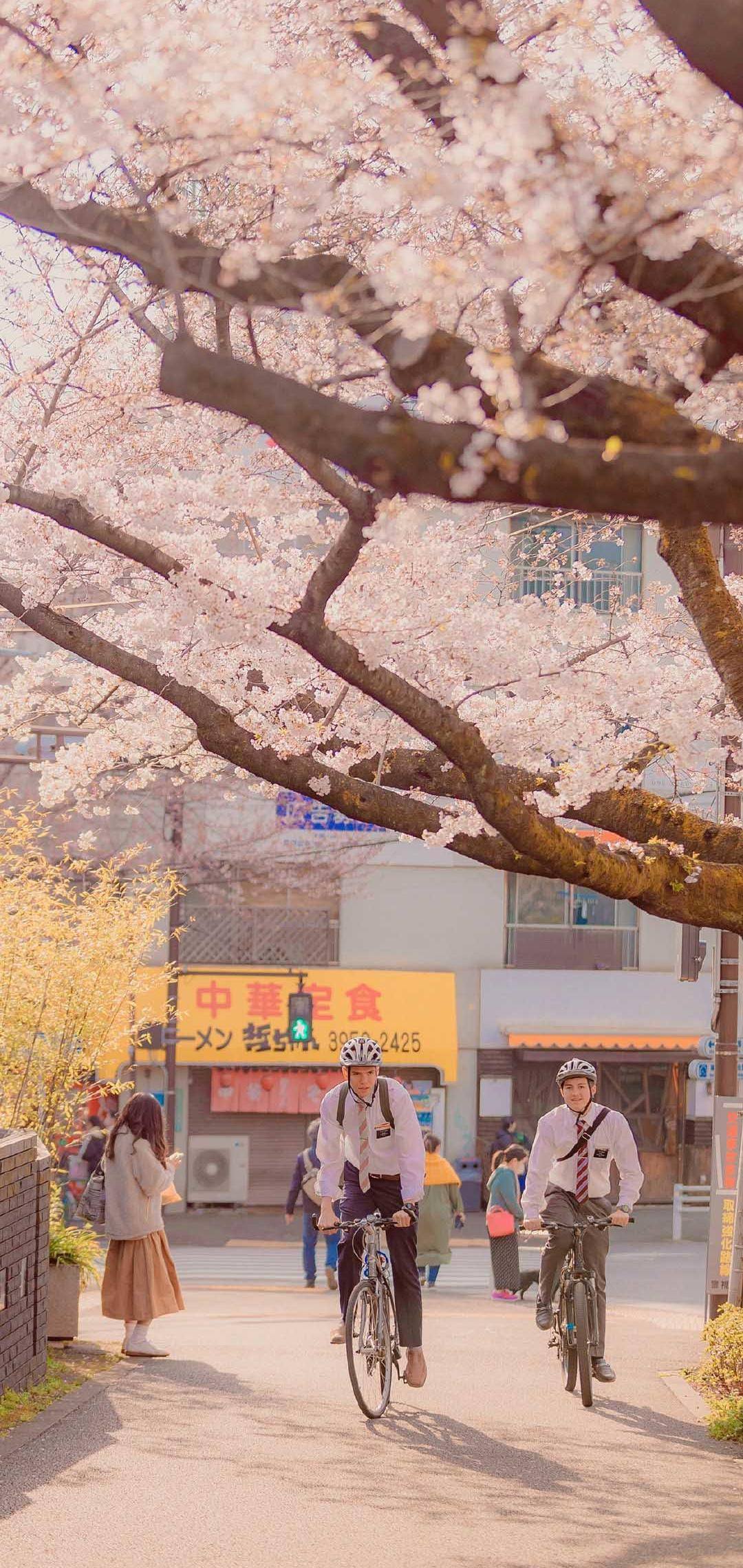 紫韵清风：手机壁纸中的唯美女生与小清新风景详细内容3