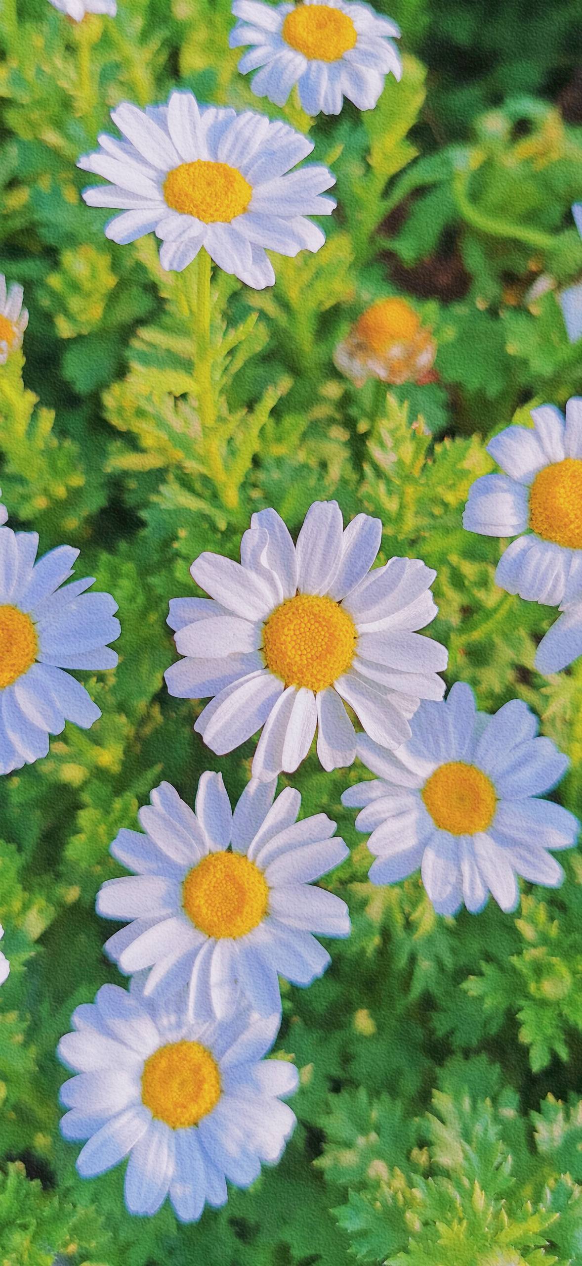 简约图片小清新壁纸壁纸预览